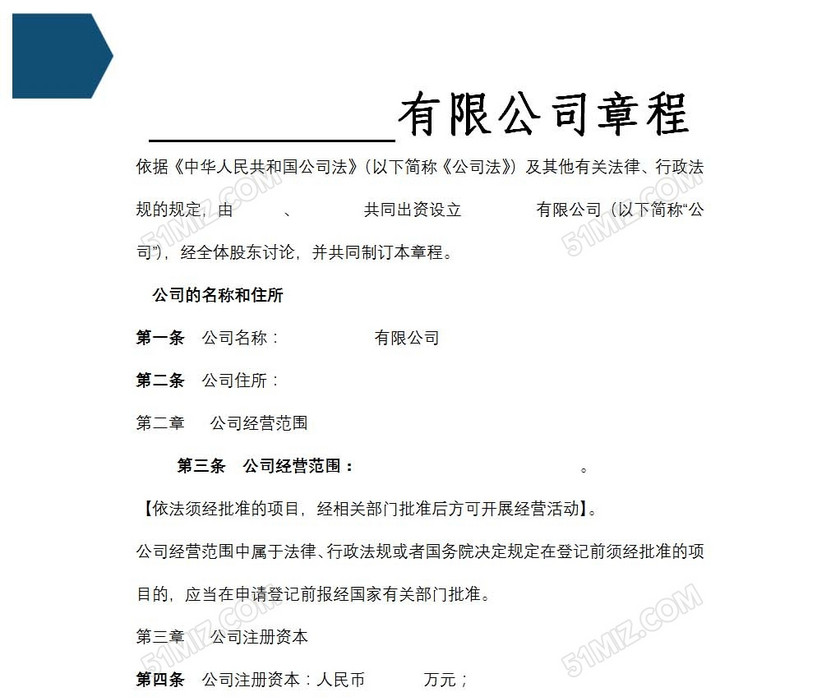 股东公司章程
股东公司章程