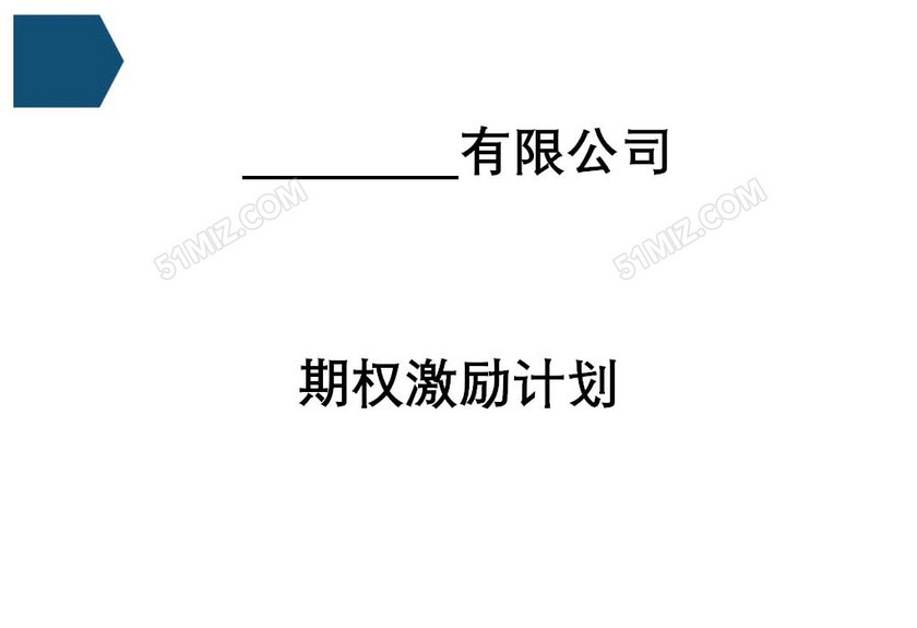 期权激励计划
期权激励计划