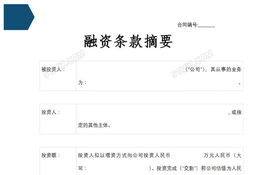 融资条款摘要
融资条款摘要