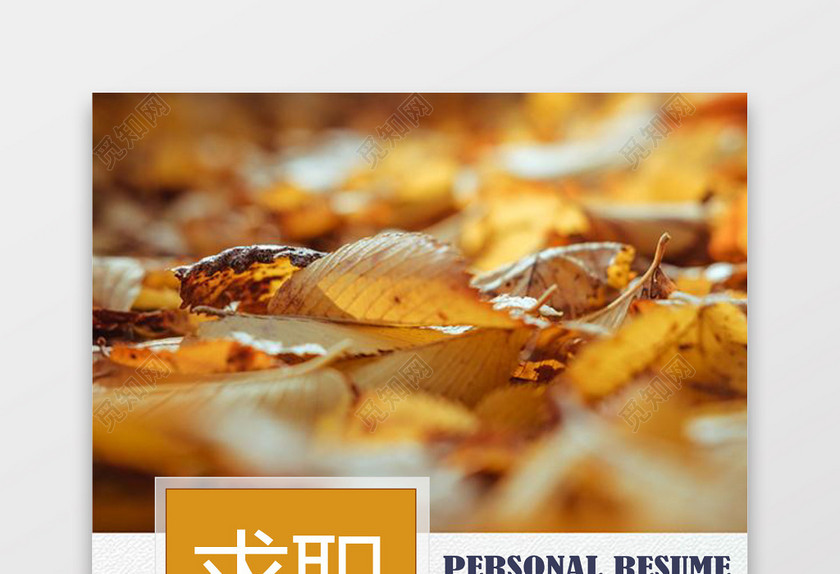 摄影摄像师求职个人简历 摄影摄像师求职个人简历