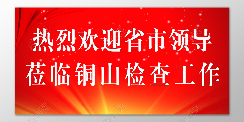 热烈欢迎省市领导莅临检查指导工作红色海报模板
