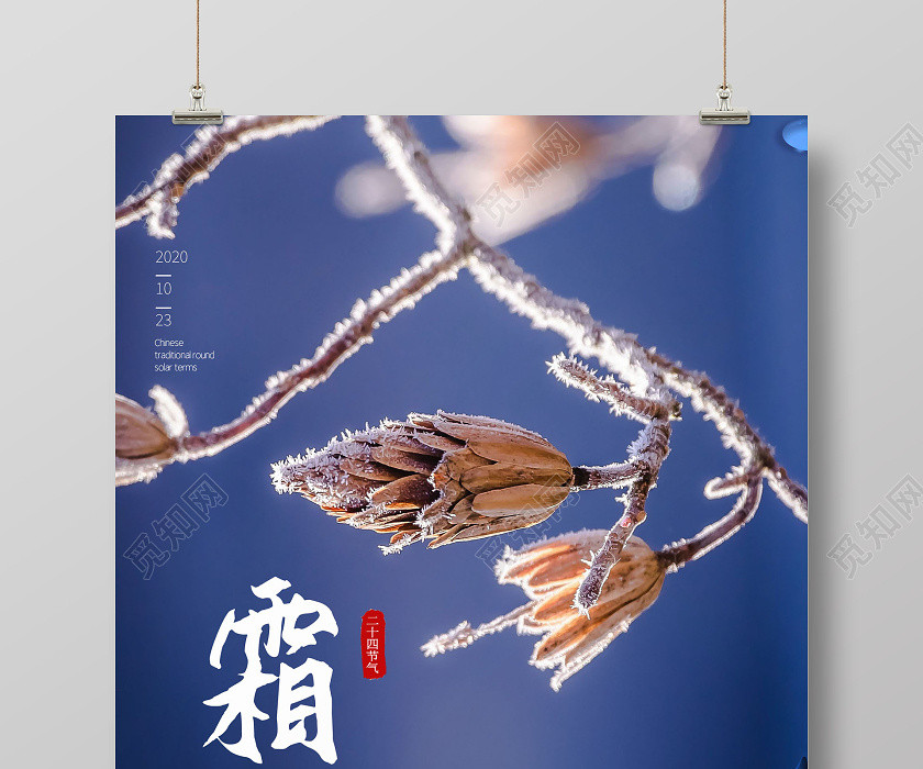 简约24节气二十四节气霜降宣传海报 简约24节气二十四节气霜降宣传海报