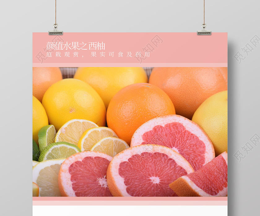 白色创意粉色西柚水果葡萄柚海报