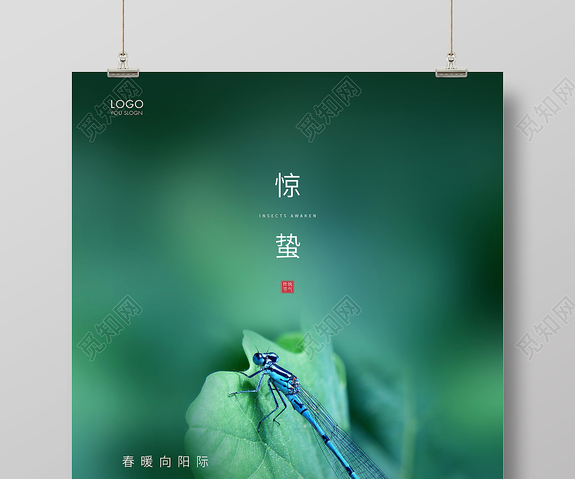 绿色简约二十四节气惊蛰节气宣传海报24节气二十四节气惊蛰